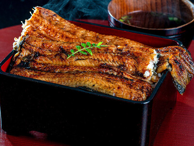 91年の歴史に幕を下ろす浜名湖食品。最後に製造した『極大うなぎ蒲焼』を豊洲市場ドットコムでお取り寄せできます