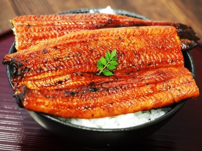 豊漁のため国産うなぎ相場が下落！豊洲市場ドットコムで「特大うなぎ蒲焼」を特別価格で販売開始します。
