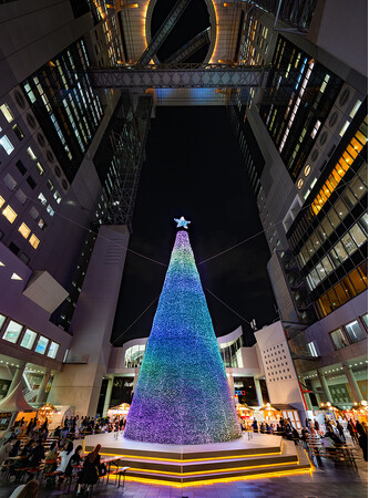 高さ25m・約13万球のLEDマッピングツリーが彩る冬のショータイム。&TEAM「illumination」、back number「クリスマスソング」の世界観を表現した特別演出を期間限定開催