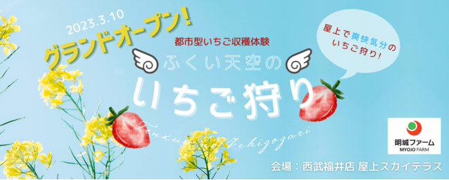 都市型いちご収穫体験「ふくい天空のいちご狩り」を開始!百貨店屋上を活用した国内最大級の屋外いちご狩りで地方を元気に!