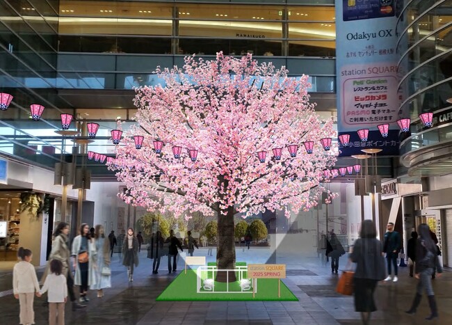 【相模大野ステーションスクエア】 相模大野駅改札外の通路上に“満開の桜”が一足早いお花見フォトスポットとして 3月1日（土）から4月13日（日）の期間限定で登場！