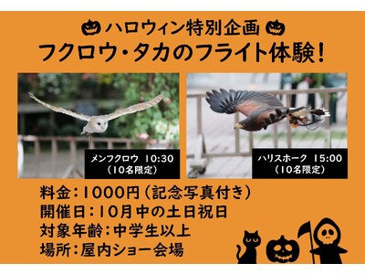 富士花鳥園（富士宮市）：フクロウ・タカのフライト体験のご案内