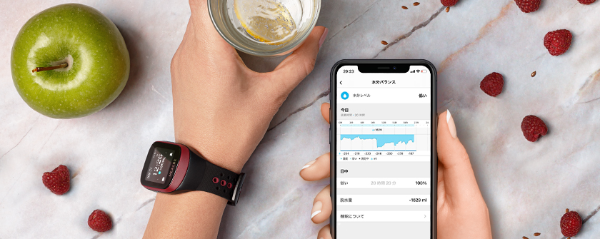 �Ă�������Ȃ��I��������~�V�[�Y���̐����s���ɂ����ӁIGoBe3�̐����o�����X�v�����A���ڍׂɁB