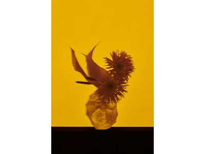 華道家と写真家によるクリエイティブユニット・IKEDORIによる展示「生映」を、宿泊型ミュージアム"Bn...
