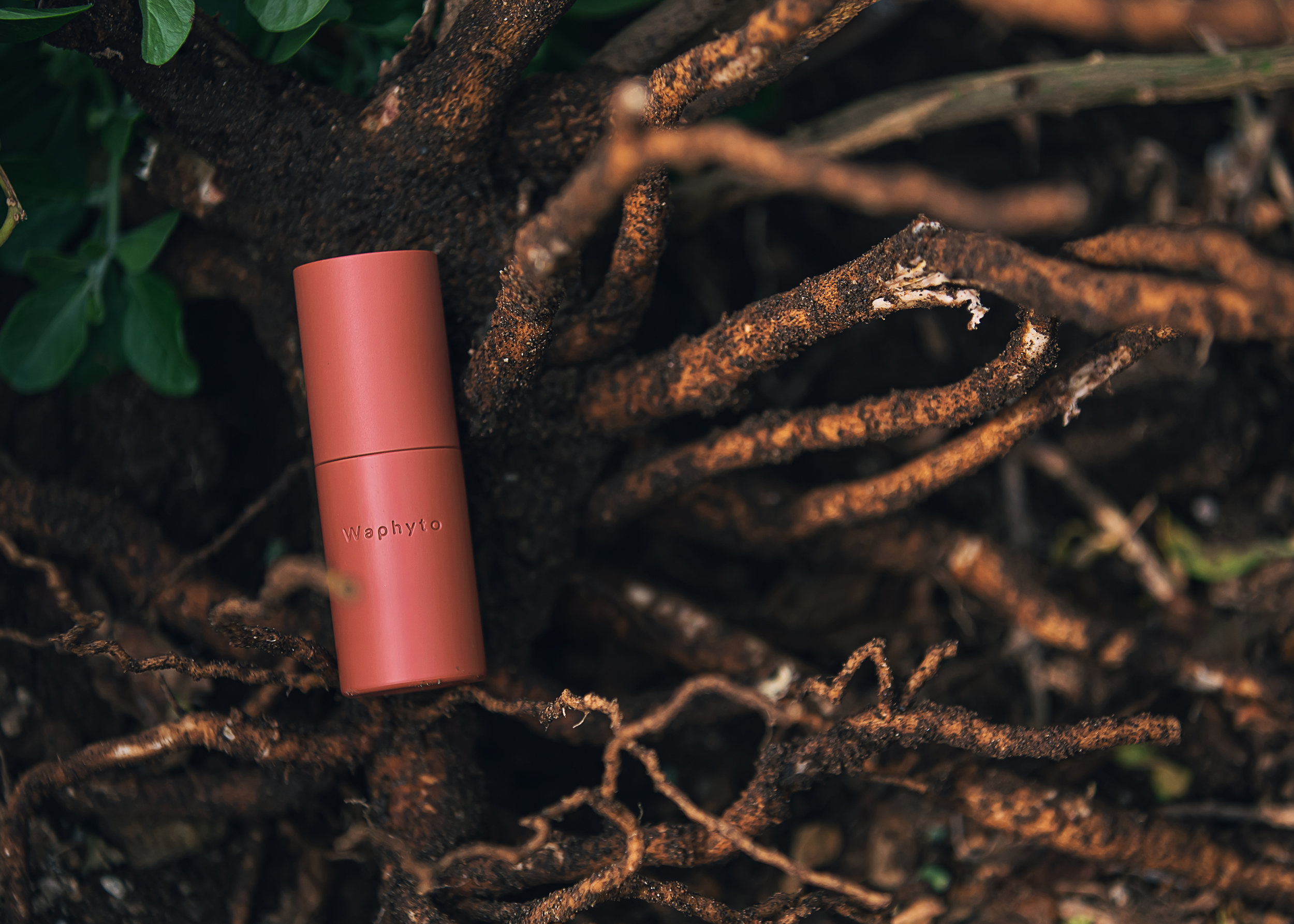 Waphytoから、現代肌のストレスに着目した新美容液「レジェナ セラム」が2022年10月12日(水)より新発売