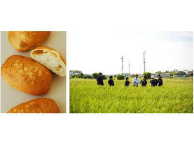 日本のタマネギの祖先・なにわの伝統野菜“泉州黄たまねぎ”の甘みを味わう「甘み引き立つ泉州黄玉ねぎパン」が今年も登場！江戸時代から続く三浦農園の伝統野菜をパンで届ける 5月1日発売