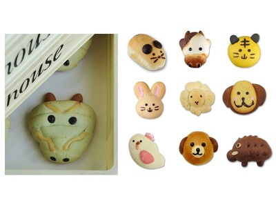 「辰」パンで年初めに縁起物　干支パンで新年を“ととのえる”　飾ってかわいい 食べておいしい　　　パン de お正月