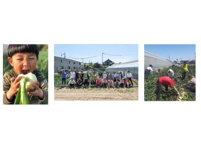 100年以上の歴史 なにわの伝統野菜“泉州黄たまねぎ”　入手困難 市場に出回らない貴重な“タマネギ”を使...