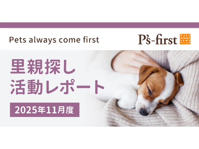 �y�b�c�t�@�[�X�g�O���[�v ���e�T���������|�[�g 2025�N11���x