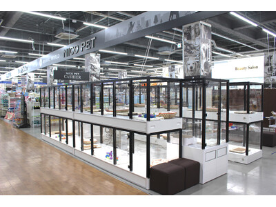 P’s-first八王子多摩美大前店　6月7日（土）NICO PET内にオープンのお知らせ