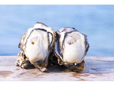 冬の旨みを堪能する本格スペイン美食「SPANISH DINING Rico」が銀座三越に期間限定で出店