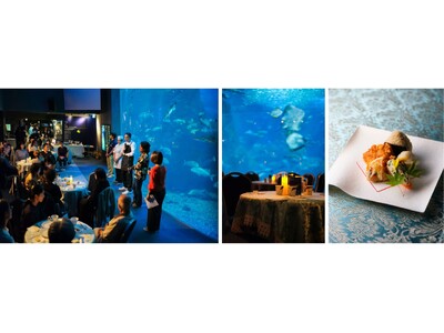 Chefs for the Blueが、新江ノ島水族館と未来へつながるディナーイベント【Bistroえのすい】を共催