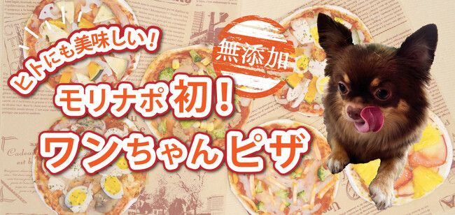 モリナポ初！愛犬と一緒に食べられる、ヒトにも美味しい「ワンちゃんピザ」2025年7月15日（火）新発売