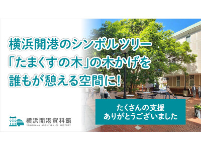 横浜開港の歴史「たまくすの木」に憩うバリアフリーデッキを作りたい！クラウドファンディング詳細報告【横浜開港資料館】