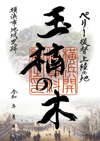 横浜開港の歴史「たまくすの木」の維持管理にご寄附をお願いいたします【横浜開港資料館】