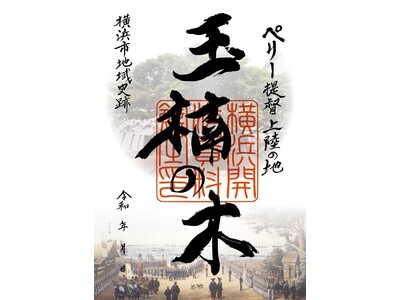 横浜開港の歴史「たまくすの木」の維持管理にご寄附をお願いいたします【横浜開港資料館】