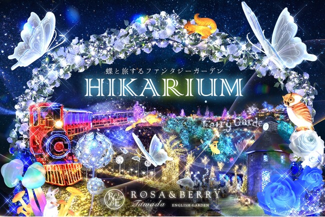 HIKARIUM2025」関西最大級のイルミネーション開催決定!! | テレ東
