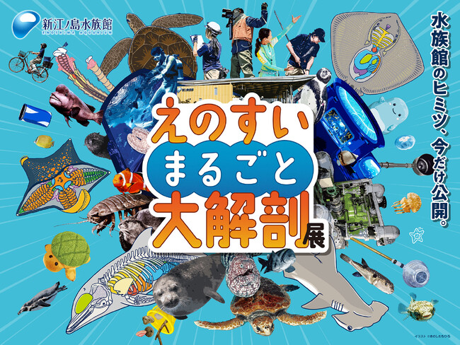 水族館のヒミツ、今だけ公開。「えのすいまるごと大解剖展」開催!!