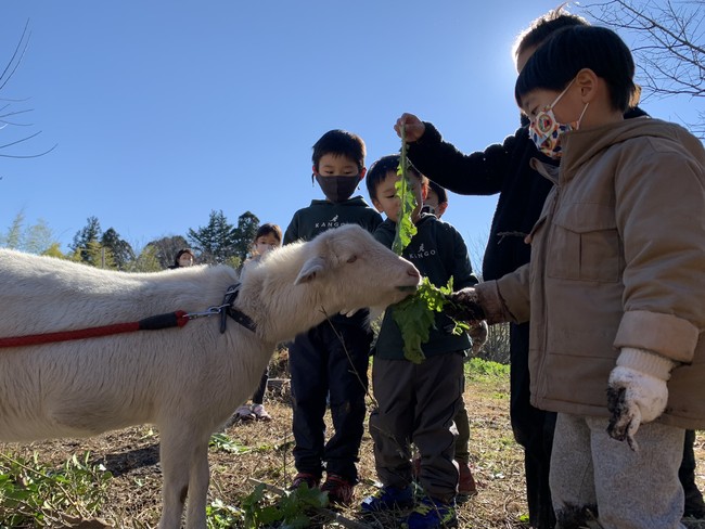 日光・鬼怒川エリアで月に一度の里山活動「サスティナブルクラブ」を実施します！！