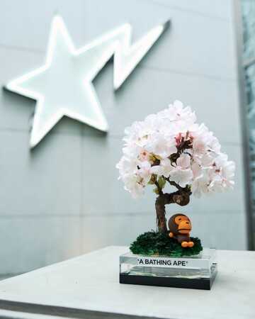 プレスリリース「BAPE(R) X JAPAN EDITIONBABY MILO(R)　SAKURA BONSAI」のイメージ画像