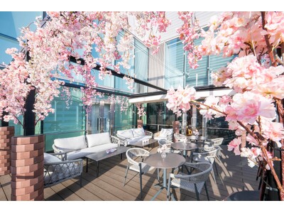 【ロッテシティホテル錦糸町】お花見気分でホテルグルメを味わえる♪春の期間限定「SAKURA Terrac...