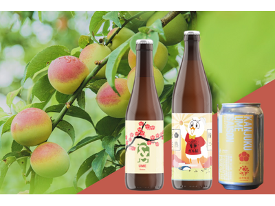 梅ボーイズの超完熟・紀州南高梅使用!3つの醸造所による”梅クラフトビール”を8月31日から数量限定発売。...