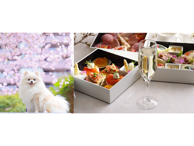 【東京マリオットホテル】桜舞う御殿山で、愛犬とベストショットを「Sakura Shooting with...