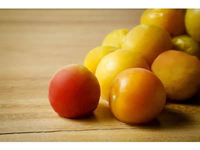 南紀白浜マリオットホテル 宿泊プラン「南高梅狩り体験ステイ」を発売 ～和歌山県の特産品「南高梅」の農園で、6月だけの収穫体験～