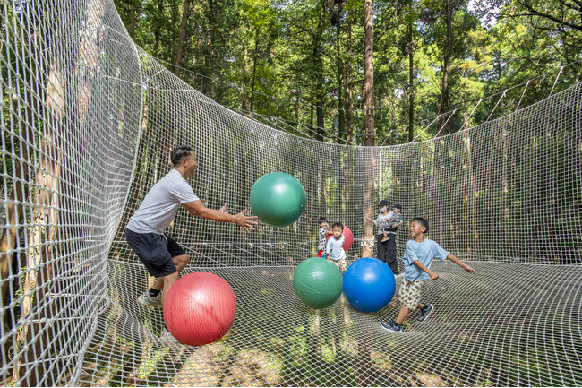 【鹿児島県初】樹上のネット内で遊ぶ“新体験” お子さまから大人まで家族みんなで樹上で遊ぼう！