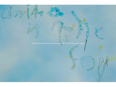 気鋭アーティスト・米澤柊が初めて企画を務める展覧会「Anima in the fog」を7月5日（金）か...