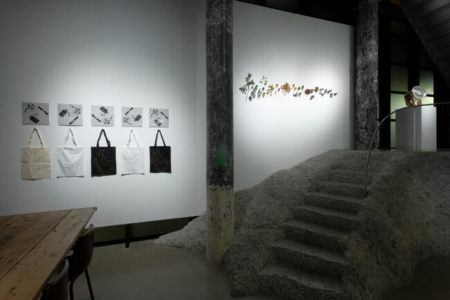 プレスリリース「メディアアートを未来へ残すには？「Collection - Correction　メディアアートの再編成と作品の延命」WALL_alternative（東京・西麻布）で開催中」のイメージ画像