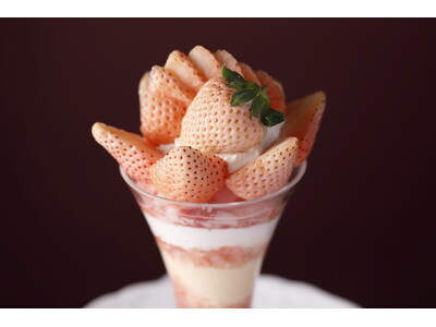 合計16種類の苺がパフェで楽しめる『スペシャルストロベリーデー2024』「資生堂パーラー 銀座本店サロン・ド・カフェ」にて開催