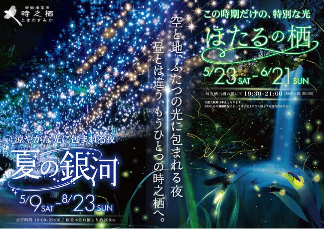 夜空を歩き、ほたるに出会う夜。初夏の涼やかな御殿場高原 時之栖で感じる光と自然の幻想体験。「夏の銀河」「ほたるの栖」開催。