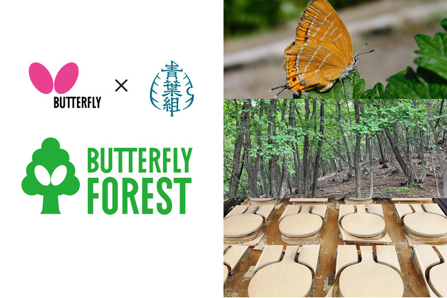 日本初※、林業の全工程で「チョウ」を守り増やす森づくりを開始