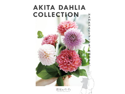 秋田市産ダリア×日比谷花壇タイアップキャンペーン「ＡＫＩＴＡ　ＤＡＨＬＩＡ　ＣＯＬＬＥＣＴＩＯＮ」を開催します！