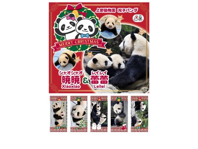 上野公園不忍池で「上野シタマチ CHRISTMAS」12/25まで開催中！