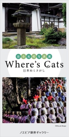プレスリリース「【ノエビア銀座ギャラリー】岩合光昭写真展 「Where’s Cats-日本ねこさがし」開催」のイメージ画像
