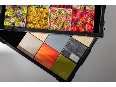 �X�܂��ƂɈقȂ鐢�E�ς�\�������A�X�܌���t�����[�{�b�N�X��10��16���i���j��蔭��