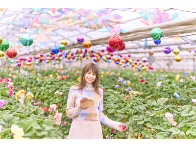 バラ科のフルーツ「いちご」を「関東最大級のバラのテーマパーク」で楽しむ新感覚のいちご狩り「オズの国のスト...