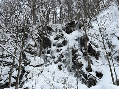 奥入瀬渓流の氷瀑が、見頃を迎えています。