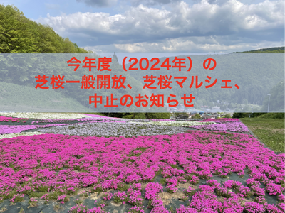 2024年度の芝桜一般開放、芝桜マルシェは中止となります。