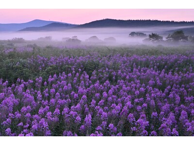 第38回十和田湖の四季写真コンテスト、入賞作品が2月22日より湖畔で約2ヶ月間展示