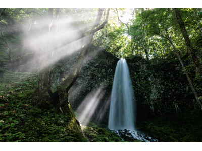 「第39回十和田湖の四季写真コンテスト」結果発表