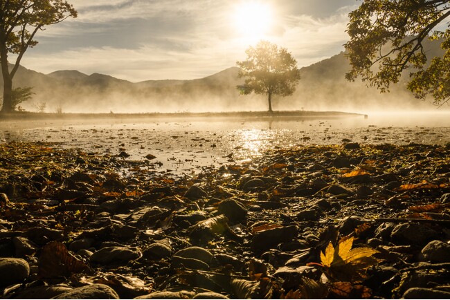 第39回十和田湖の四季写真コンテスト、入賞作品が2月28日より約2ヶ月間展示