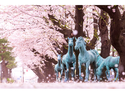 「十和田市春まつり」は今年、4月18日から5月5日まで開催。一部の行事が早まる桜の開花予想に合わせて、前倒し実施！