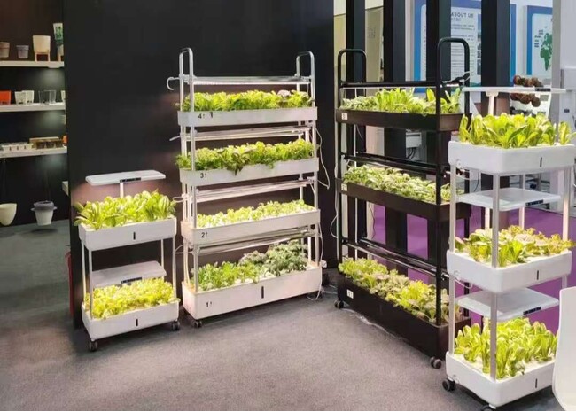 いちごも、わさびも、オフィスで育つ！】無農薬野菜＆高付加価値