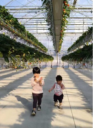 いちご狩り応援キャンペーン 【いちご狩り参加者への体験費用補助】株式会社マラナタ