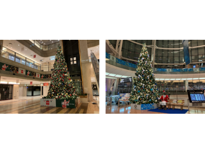 羽田空港第1・第2ターミナルにクリスマスツリーが登場！