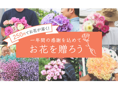 お花のつくり手を応援「よいはな」、250円(税/送料込)でお花をお届けするキャンペーンを開始！