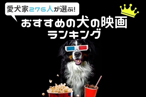 21年度 犬が登場するおすすめ映画ランキングtop43 感動作からコメディアまで 愛犬家276人が選んだ圧倒的1位は 記事詳細 Infoseekニュース